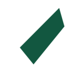 New York Jets
